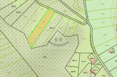 Land for sale, Čavoj